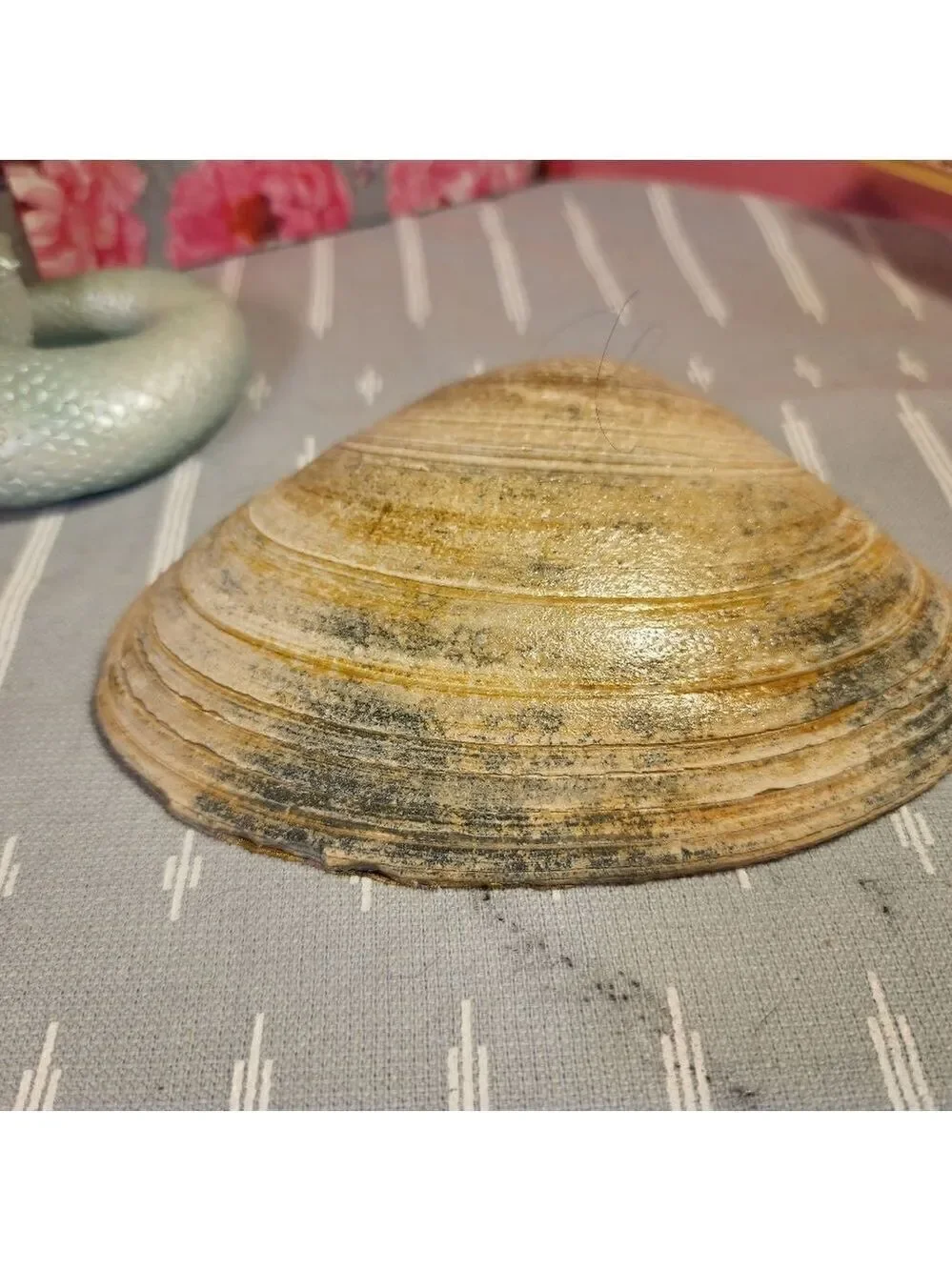 DECOUPAGE CLAM SHELL DECOUPAGE LILACS FLOWERS 💐 ON A CLAM SHELL TRINKET DISH